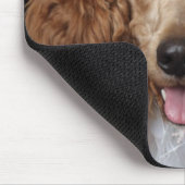 Golden Poodle Dog met een witte clown costuum Muismat (Hoek)