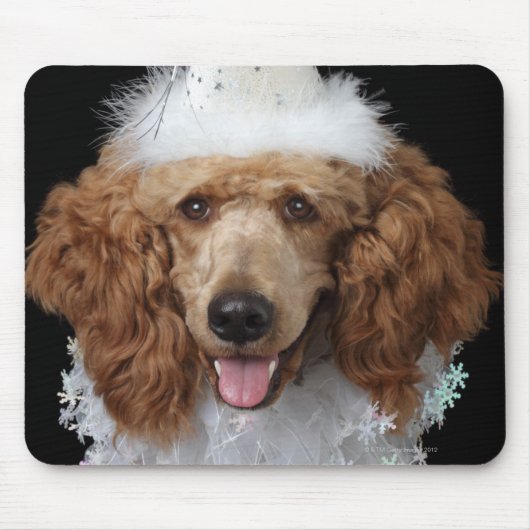 Golden Poodle Dog met een witte clown costuum Muismat (Voorkant)
