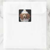 Golden Poodle Dog met een witte clown costuum Vierkante Sticker (Tas)