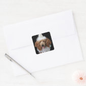 Golden Poodle Dog met een witte clown costuum Vierkante Sticker (Envelop)