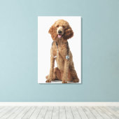 Golden Poodle Dog met stethoscoop Canvas Afdruk (Insitu (Houten vloer))