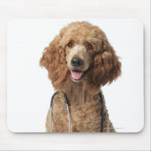 Golden Poodle Dog met stethoscoop Muismat
