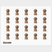 Golden Poodle Dog met stethoscoop Vierkante Sticker (Vel)