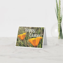 Golden Poppies Easter Card 1 Bedankkaart