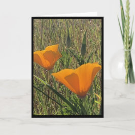 Golden Poppies Easter Card 3 Kaart