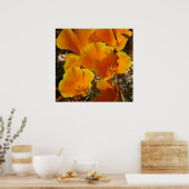 Golden Poppies Poster (Keuken)