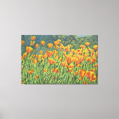 Golden Poppy Fields Canvas Afdruk (Voorkant)