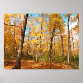 Golden Poster (Voorkant)