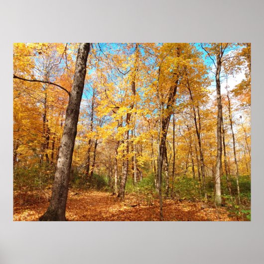 Golden Poster (Voorkant)