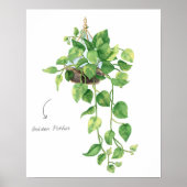 Golden Pothos Poster (Voorkant)