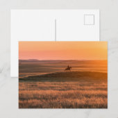 Golden Prairie Party Invitation - Classic Western  Briefkaart (Voorkant / Achterkant)