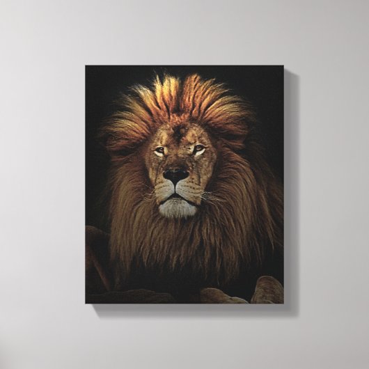 Golden Proud Lion Africa Canvas Afdruk (Voorkant)