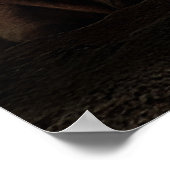 Golden Proud Lion Africa Poster (Hoek)