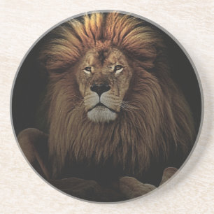 Golden Proud Lion Africa Zandsteen Onderzetter