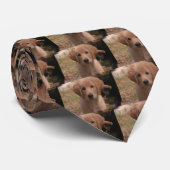 Golden Pup Stropdas (Opgerold)