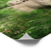 Golden Puppies Poster (Hoek)