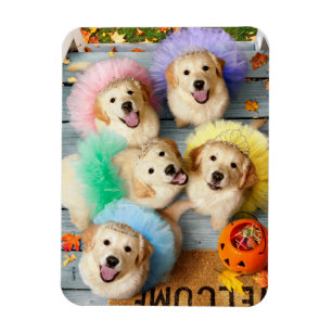 Golden Puppies Trick of Treating Magneet