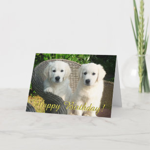 Golden puppies verjaardagskaart kaart