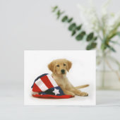 Golden Puppy en Uncle Sam Pet Briefkaart (Staand voorkant)