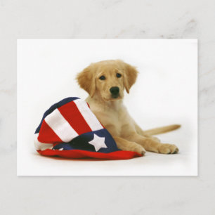 Golden Puppy en Uncle Sam Pet Briefkaart