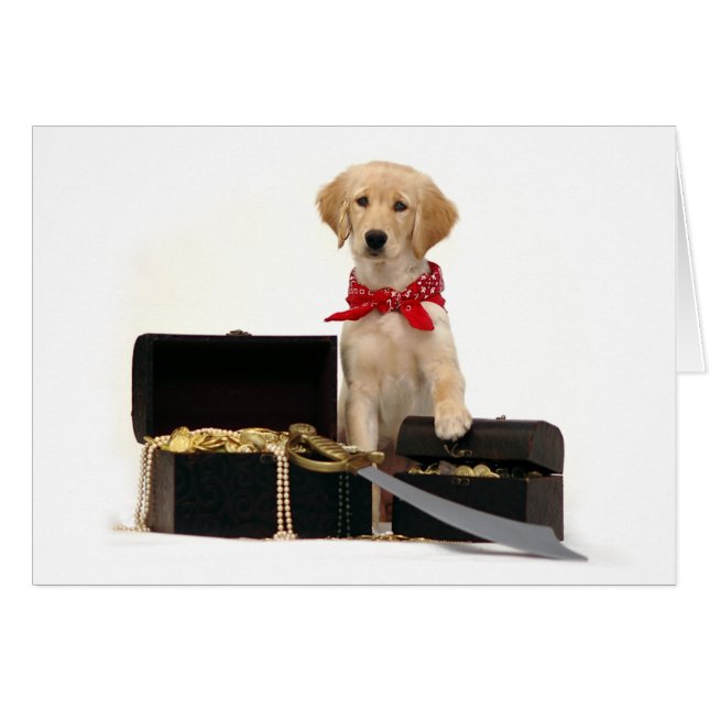 Golden Puppy Pirate (Voorkant Horizontaal)