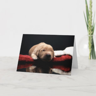 Golden Puppy & Stocking Feestdagen Kaart