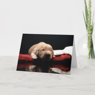 Golden Puppy & Stocking Feestdagen Kaart