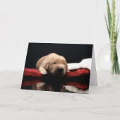 Golden Puppy & Stocking Feestdagen Kaart (Voorkant)