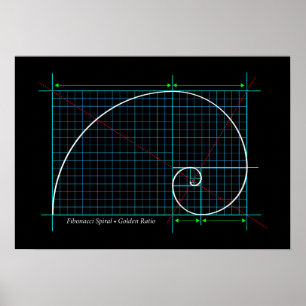 Golden Ratio, Fibonacci Spiral, kleurentekening Poster