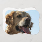 golden-recovery-2 kaart (Voorkant / Achterkant)