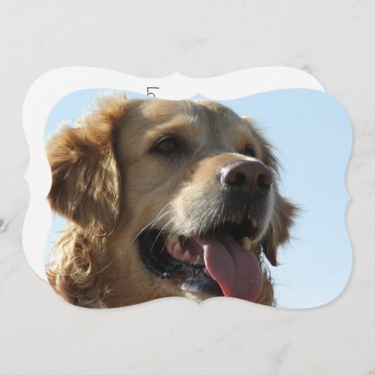 golden-recovery-2 kaart (Voorkant / Achterkant)