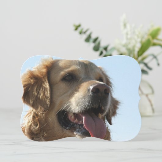 golden-recovery-2 kaart (Staand voorkant)