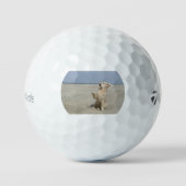 golden-recovery-golven op het strand golfballen (Voorkant)