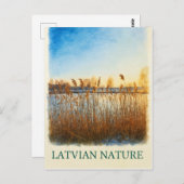 Golden Reeds bij Dusk – Lets Natuur Briefkaart (Voorkant / Achterkant)