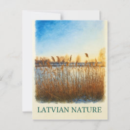 Golden Reeds bij Dusk – Lets Natuur Briefkaart