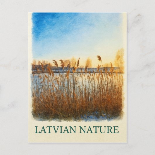 Golden Reeds bij Dusk – Lets Natuur Briefkaart (Voorkant)