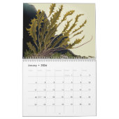 Golden Reefs Kalender (Jan 2026)