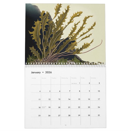 Golden Reefs Kalender (Jan 2026)