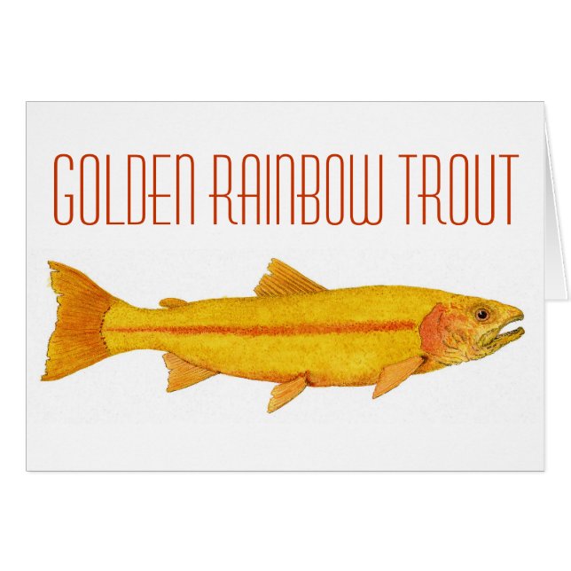 Golden regenboogforel. (Voorkant Horizontaal)