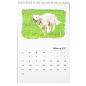 Golden rekbaars kalender (Feb 2027)