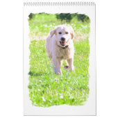 Golden rekbaars kalender (Hoes)