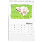 Golden rekbaars kalender (Feb 2026)