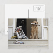 Golden rekhond die aan de voordeur zit briefkaart (Voorkant / Achterkant)