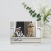 Golden rekhond die aan de voordeur zit briefkaart (Staand voorkant)