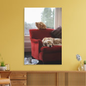 Golden rekhond met gembertabby kat canvas afdruk (Insitu (Woonkamer))