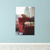 Golden rekhond met gembertabby kat canvas afdruk (Insitu (Houten vloer))