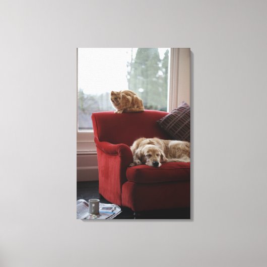 Golden rekhond met gembertabby kat canvas afdruk (Voorkant)