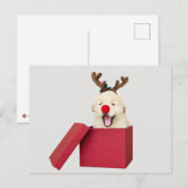 Golden rekwalvis in een cadeaudoos voor rode kerst briefkaart (Voorkant / Achterkant)