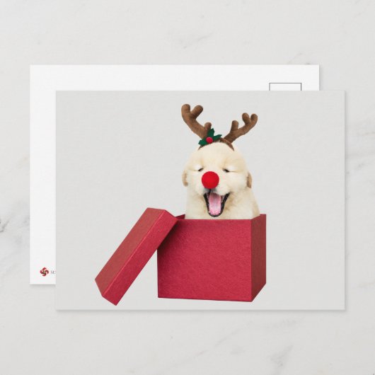 Golden rekwalvis in een cadeaudoos voor rode kerst briefkaart (Voorkant / Achterkant)