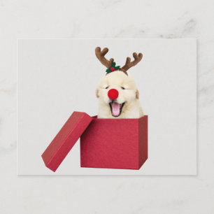 Golden rekwalvis in een cadeaudoos voor rode kerst briefkaart